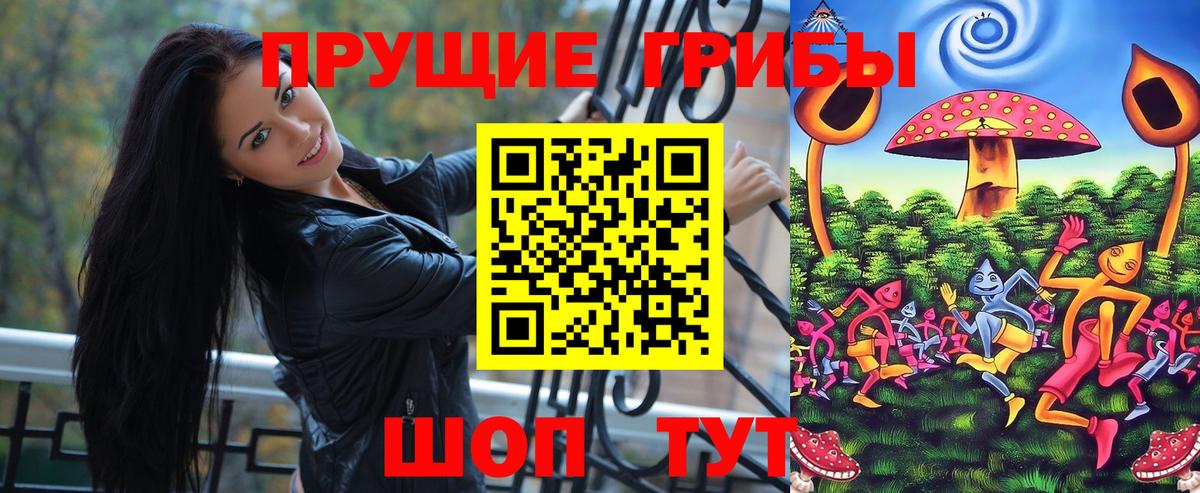 Псилоцибиновые грибы Cubensis Павловский Посад