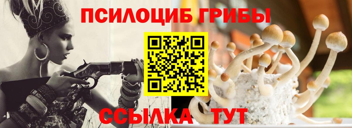 Павловский Посад  Псилоцибиновые грибы прущие грибы  Вход с VPN  Псилоцибиновые грибы мицелий 